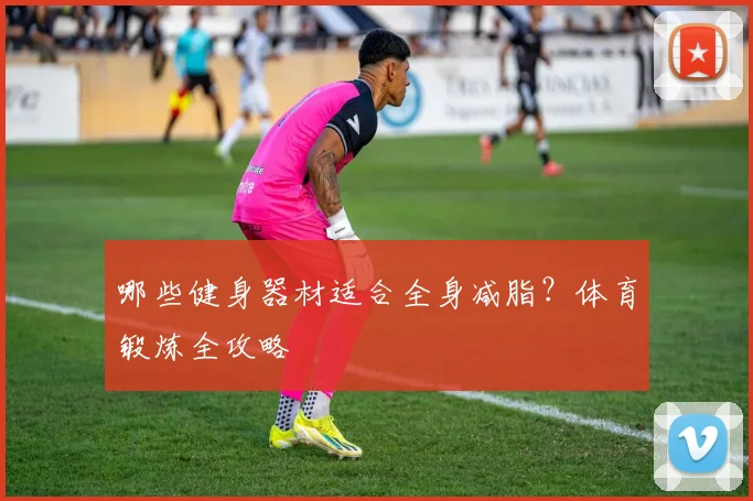 哪些健身器材适合全身减脂？体育锻炼全攻略