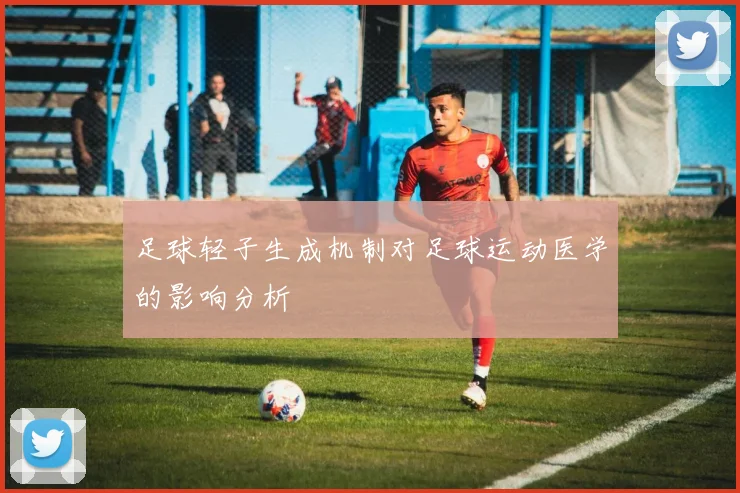 足球轻子生成机制对足球运动医学的影响分析