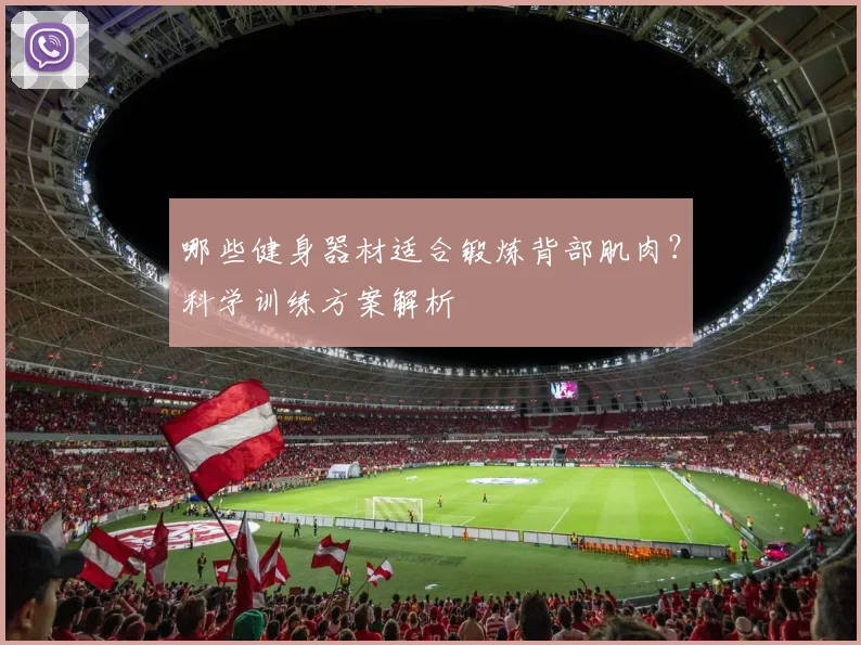 哪些健身器材适合锻炼背部肌肉？科学训练方案解析