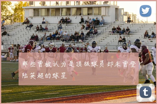 那些曾被认为是顶级球员却未曾登陆英超的球星