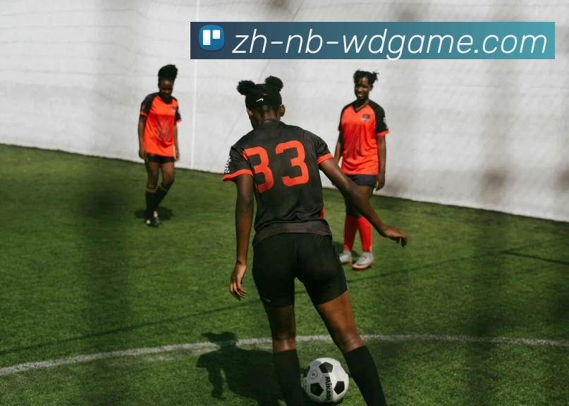 问鼎娱乐APP 封面图